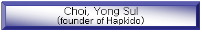 Bevel: Choi, Yong Sul
(founder of Hapkido)

